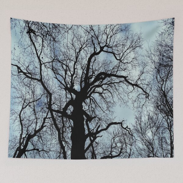Item preview, Shape of Nature / photography by Livia Leoveanu designed and sold by Livia  Leoveanu.
