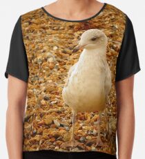 Möwe Chiffontop