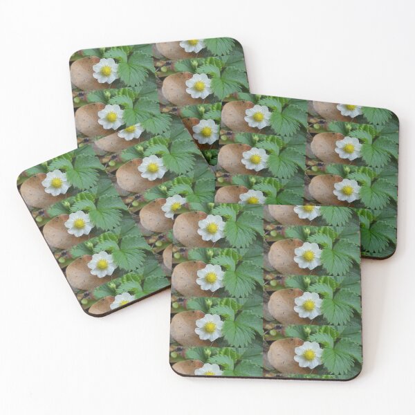 Item preview, Mixed Seasons designed and sold by Aqualyn.