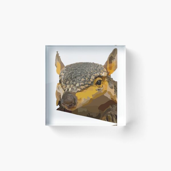 Item preview, Sandra Dee the Screaming Hairy Armadillo designed and sold by Aimee Milton.