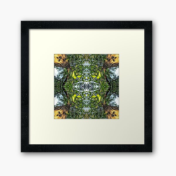  Cottonwoods Kaleidoscope Framed Art Print