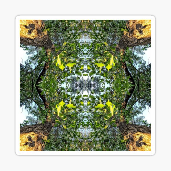Cottonwoods Kaleidoscope Sticker