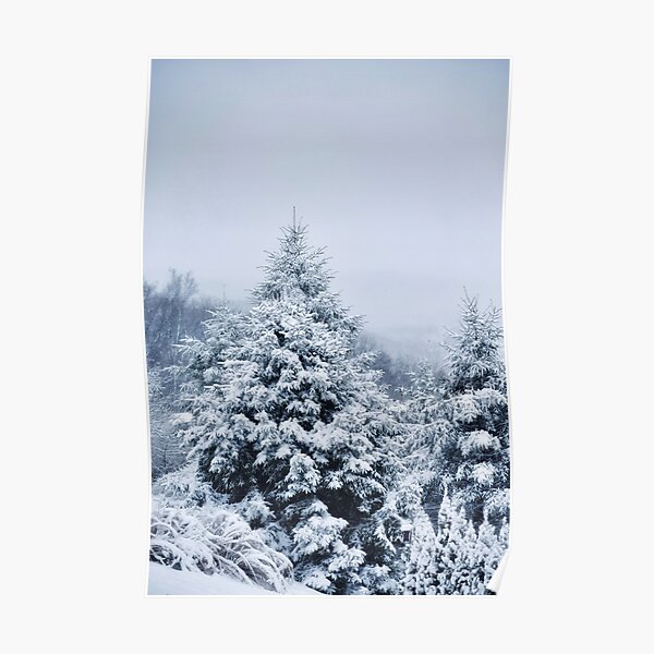 Snowy Trees Wintery Season Poster