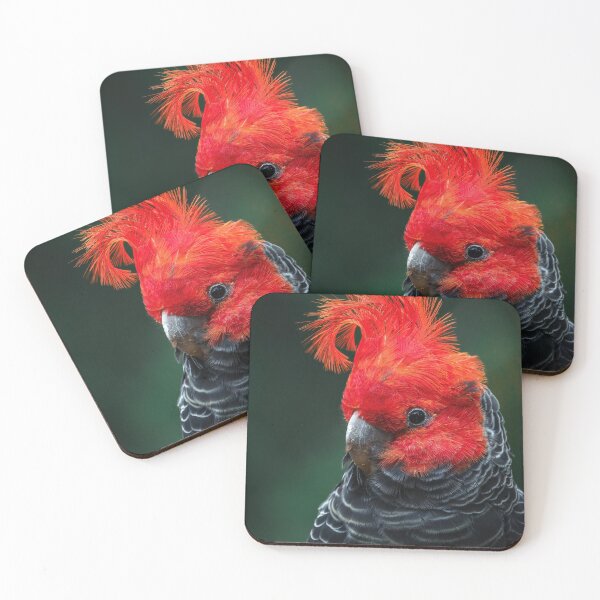 Item preview, Gang-gang Cockatoo, portrait designed and sold by theleastone.