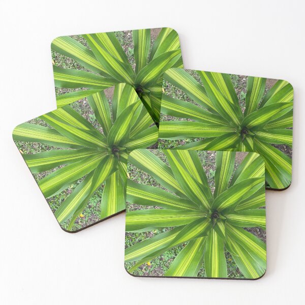 Aperçu de l'œuvre Palmier à feuilles vertes et jaunes créée et vendue par Sinemathk.