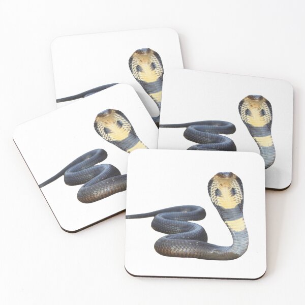 Item preview, Cobra dangerous protected snake designed and sold by josesita.