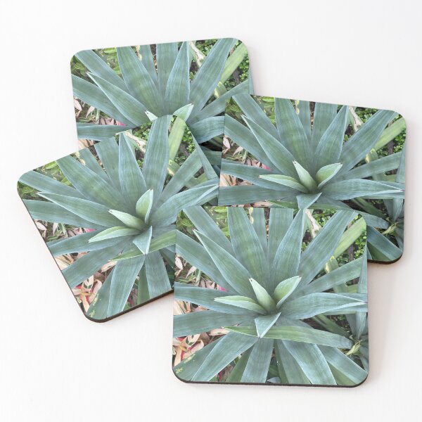 Aperçu de l'œuvre Plante de palmier à feuilles bleues et vertes créée et vendue par Sinemathk.