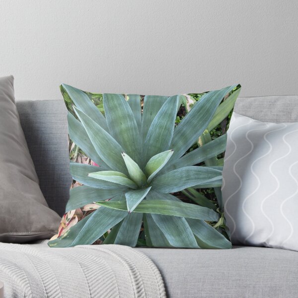 Aperçu de l'œuvre Plante de palmier à feuilles bleues et vertes créée et vendue par Sinemathk.
