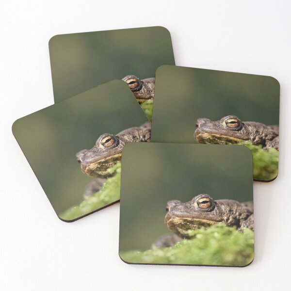 Item preview, Common Toad - Bufo bufo designed and sold by Christian Moss.