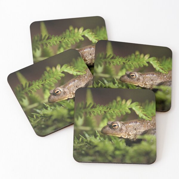 Item preview, Common Toad - Bufo bufo designed and sold by Christian Moss.