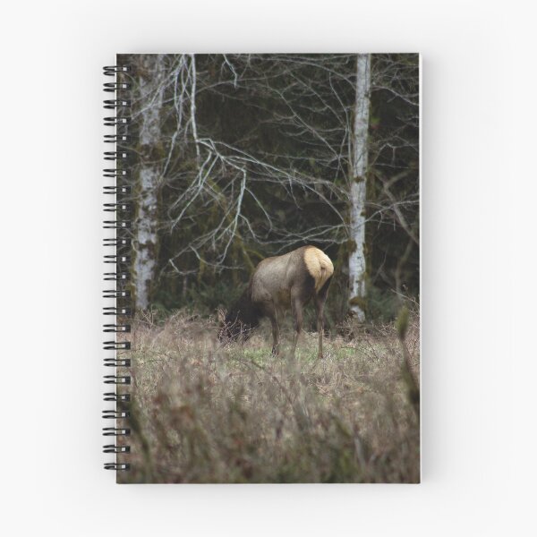 Aperçu de l'œuvre Roosevelt Elk créée et vendue par TaylorKorynn.
