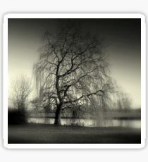 Weeping Willow Sticker