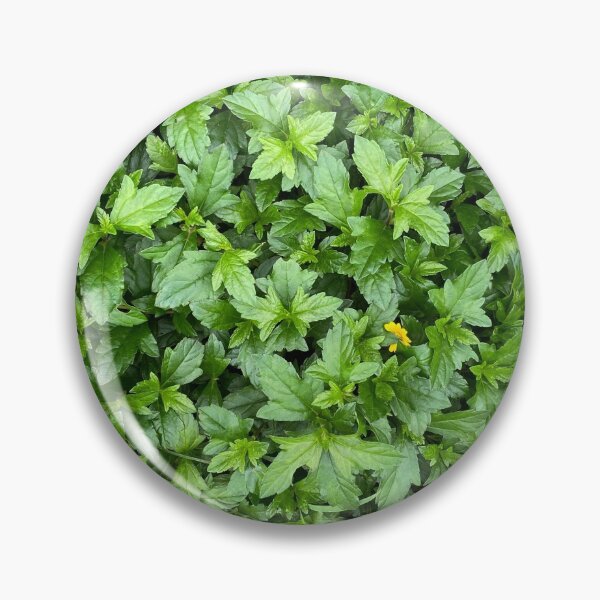 Item preview, Bed of Green Leaves and One Yellow Flower designed and sold by Sinemathk.
