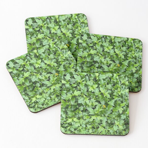Item preview, Bed of Green Leaves and One Yellow Flower designed and sold by Sinemathk.
