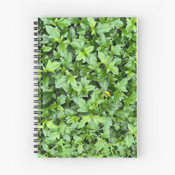 Item preview, Bed of Green Leaves and One Yellow Flower designed and sold by Sinemathk.