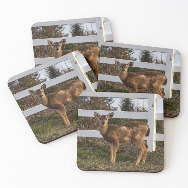 Item preview, Columbian black-tailed deer designed and sold by TaylorKorynn.