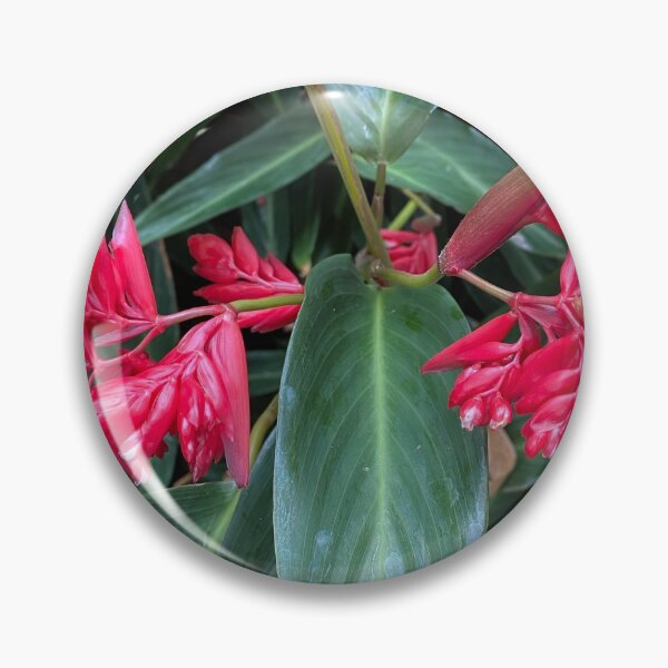Item preview, Red and White Budding Flowers designed and sold by Sinemathk.
