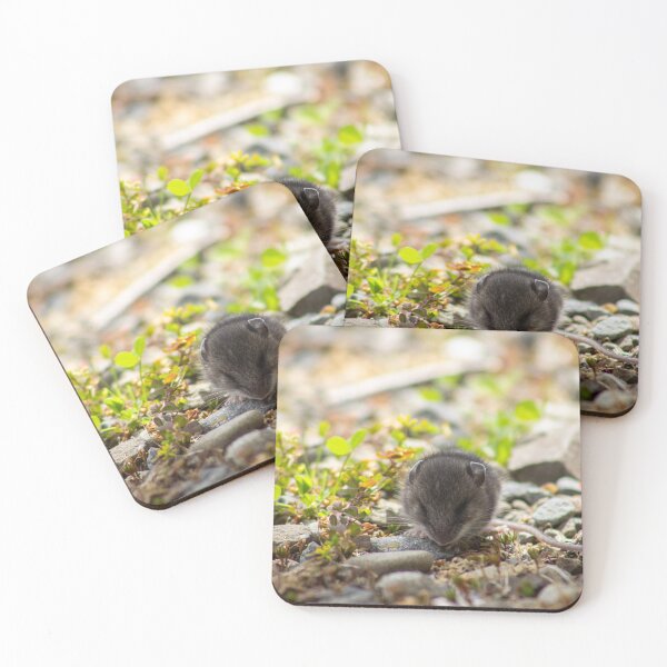 Item preview, Baby Deer Mouse designed and sold by TaylorKorynn.