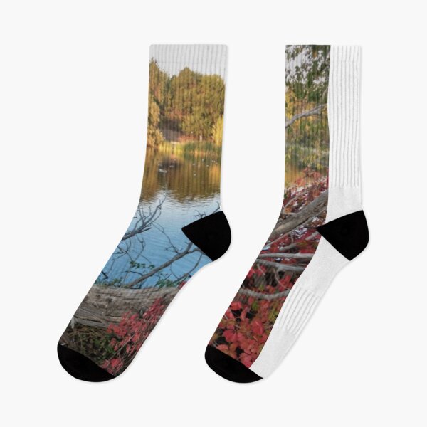 Item preview, Fall Colors at the Park designed and sold by KristinaL.