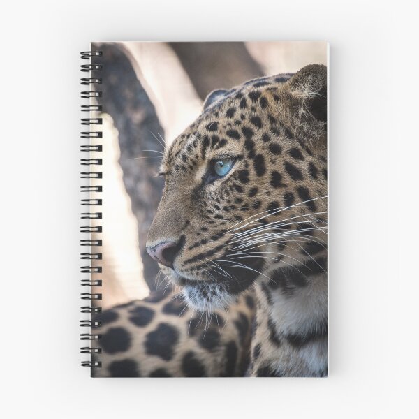 Item preview, Leopard resting designed and sold by Kirill Berbetch.