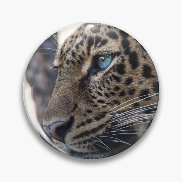 Item preview, Leopard resting designed and sold by Kirill Berbetch.