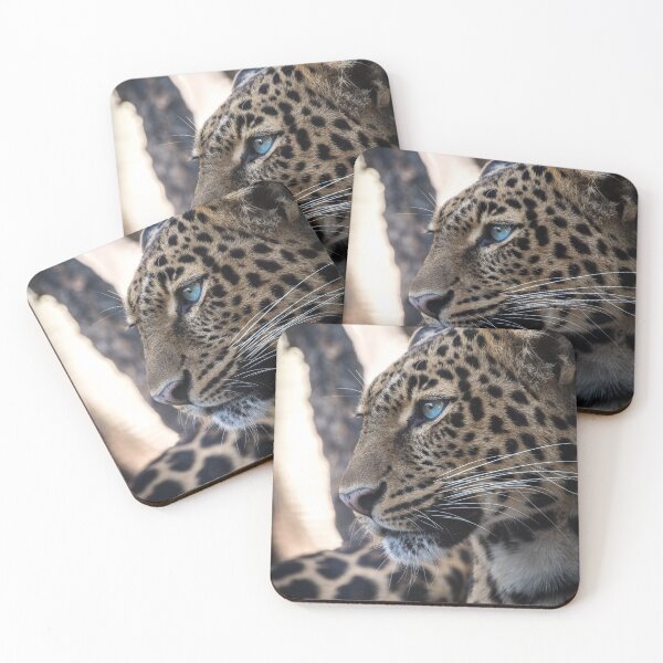 Item preview, Leopard resting designed and sold by Kirill Berbetch.