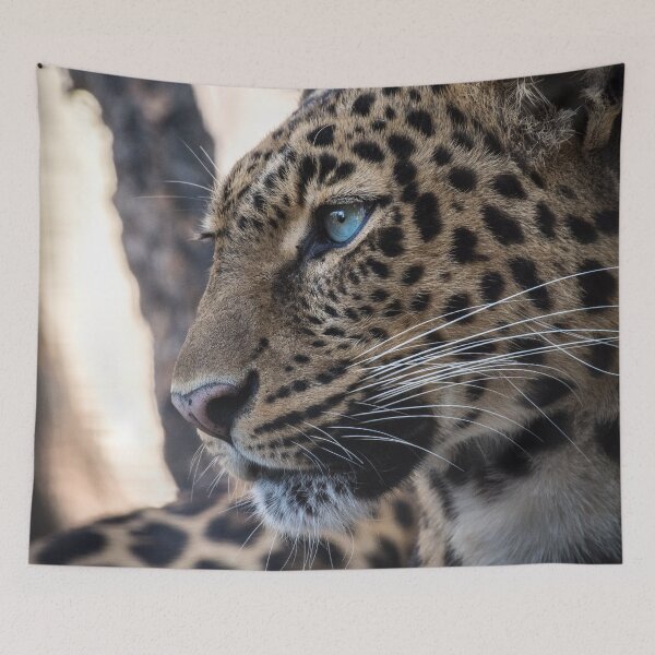 Item preview, Leopard resting designed and sold by Kirill Berbetch.