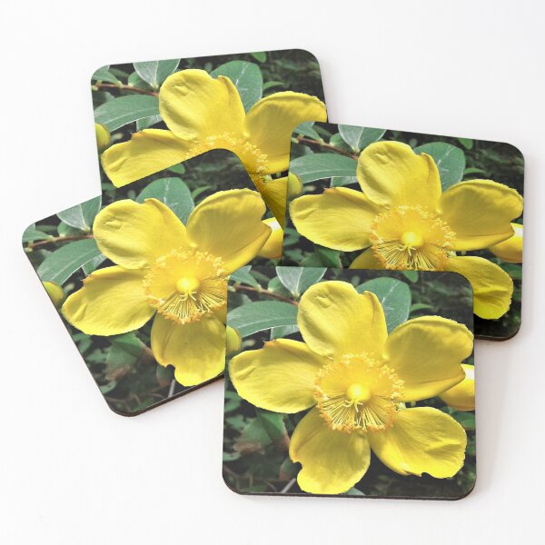 Item preview, St johns wort. designed and sold by Faerieglen.