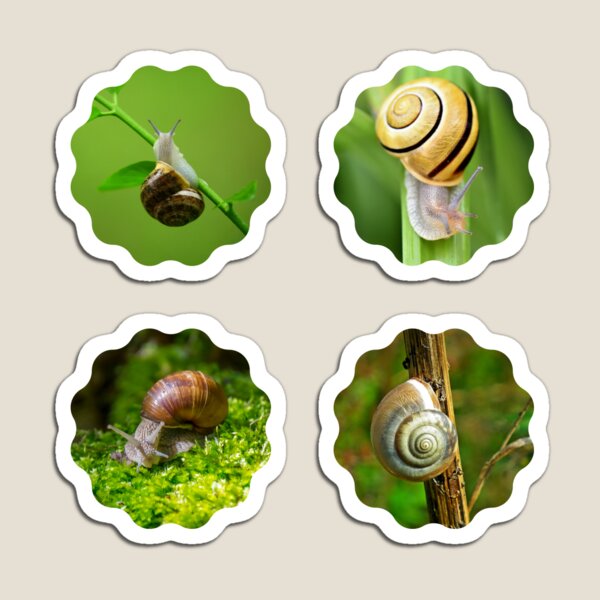 Item preview, Snails Sticker Pack Sticker Pack designed and sold by Nathalie Aynié.