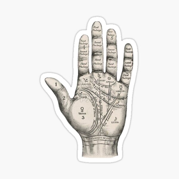 Palm Reading Sticker
