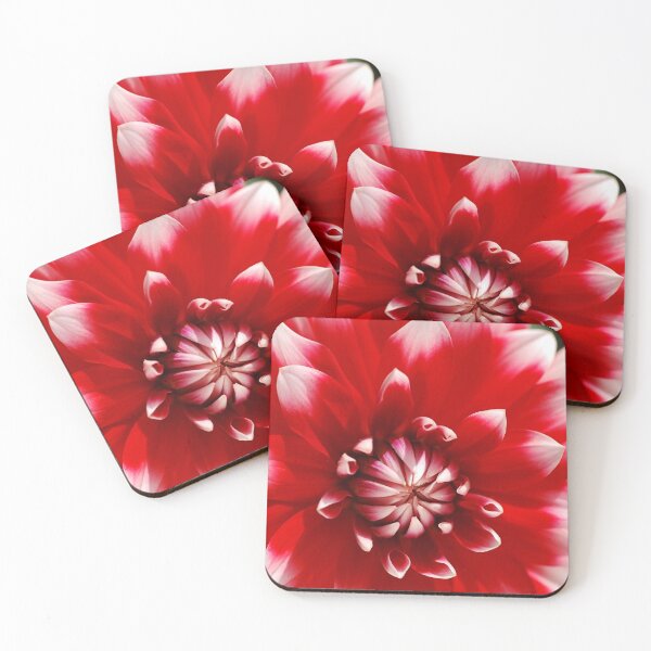 Item preview, Red With White Dahlia Circles designed and sold by Joy Watson - Natural Light Photography .