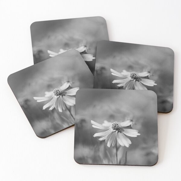Item preview, Rum Punch Plant Coreopsis Bw designed and sold by Joy Watson - Natural Light Photography .