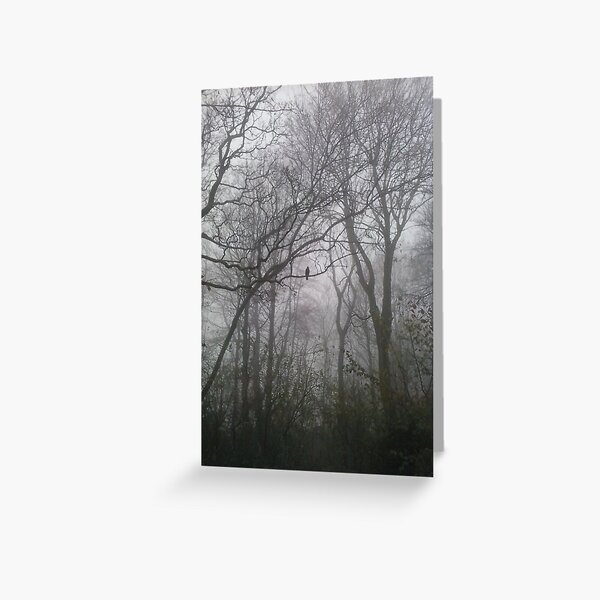 Heaton Park Tree Fog Greeting Card