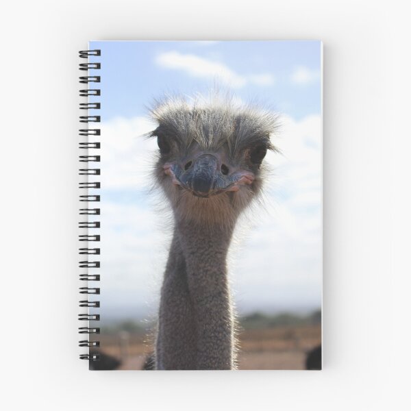 Item preview, Curious Ostrich designed and sold by KMORISON.