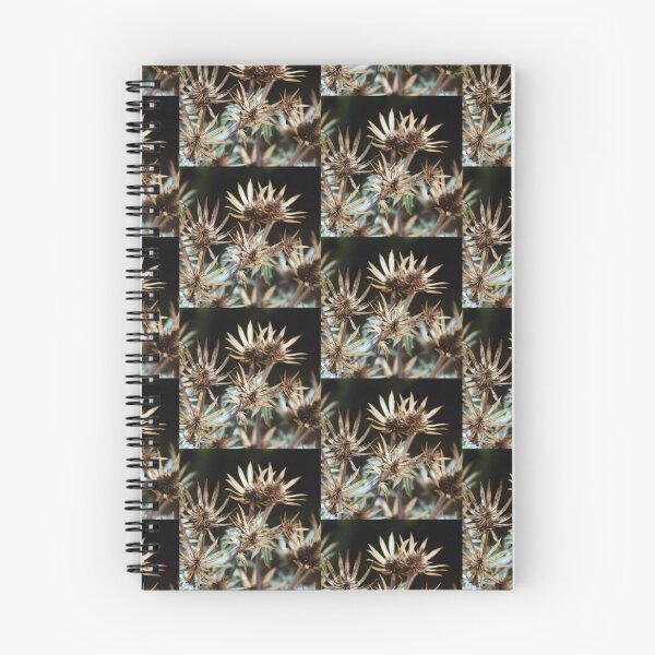 Item preview, Spikey Seed heads designed and sold by Jonesyinc.