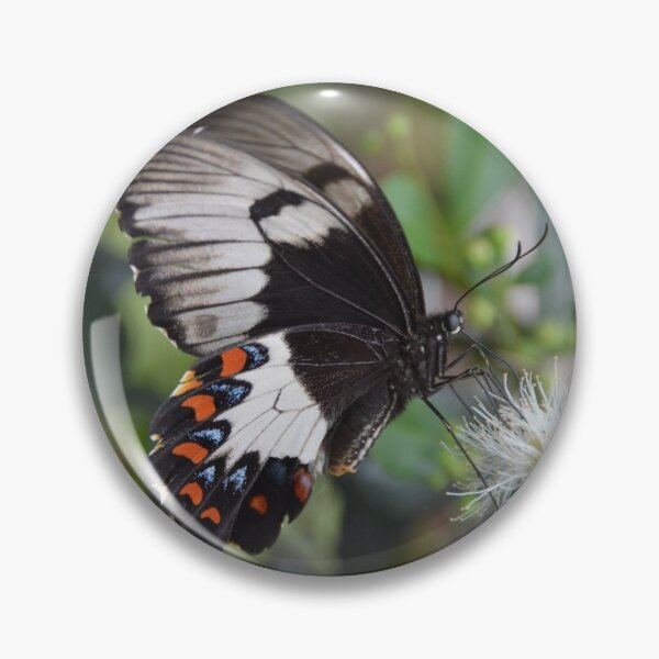 Item preview, Elusive Beauty designed and sold by L Spittall.