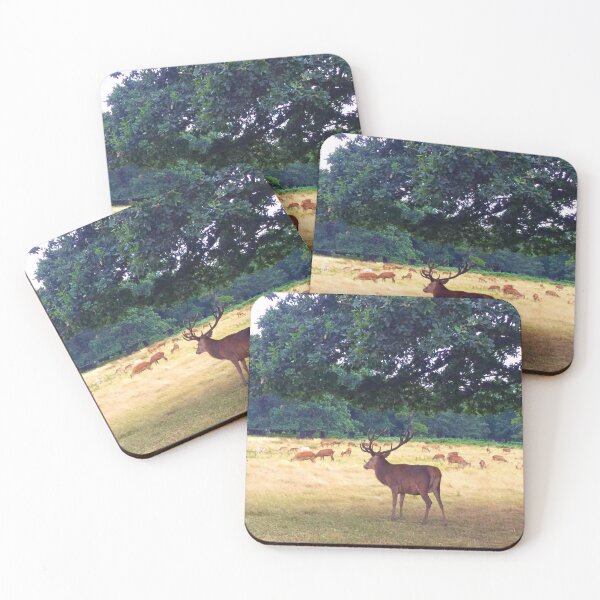 Item preview, Wild deer in Richmond Park, London designed and sold by Buono-Vibes.