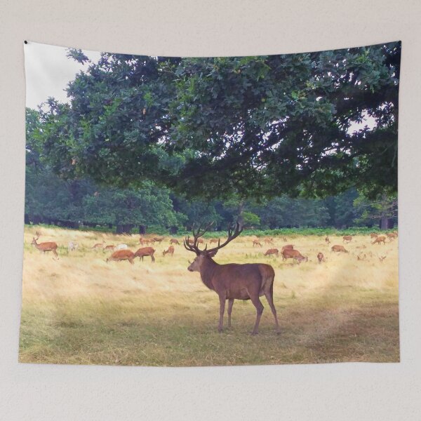 Item preview, Wild deer in Richmond Park, London designed and sold by Buono-Vibes.