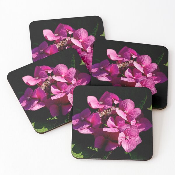 Artikelvorschau, Hortensienblüte entworfen und verkauft von Dalyndigital Photography.