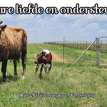 Artwork thumbnail, Afrikaans - Ware liefde en ondersteuning by Lizelsalter
