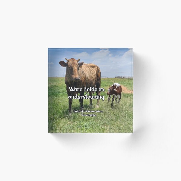 Afrikaans - Ware liefde en ondersteuning Acrylic Block