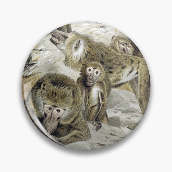 Item preview, Baboons designed and sold by redoARTstore.