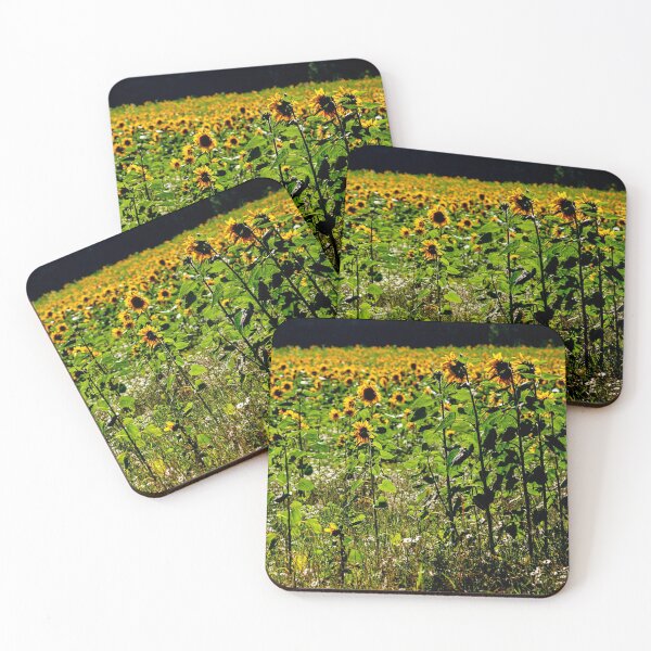 Item preview, Sun Followers! designed and sold by Dalyndigital Photography.