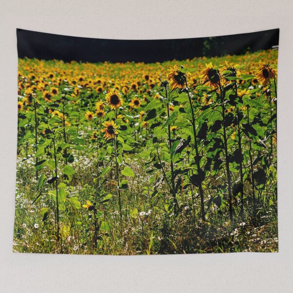 Item preview, Sun Followers! designed and sold by Dalyndigital Photography.
