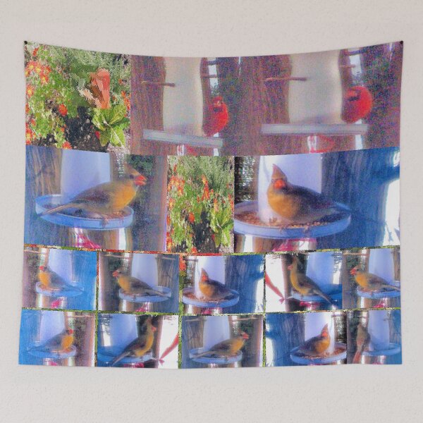 Item preview, Cardinal Comfort designed and sold by kristalcurt.