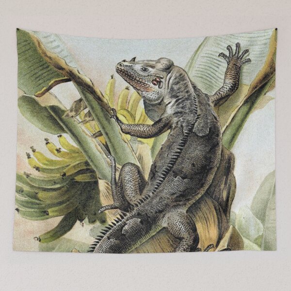 Item preview, Black Iguana designed and sold by redoARTstore.