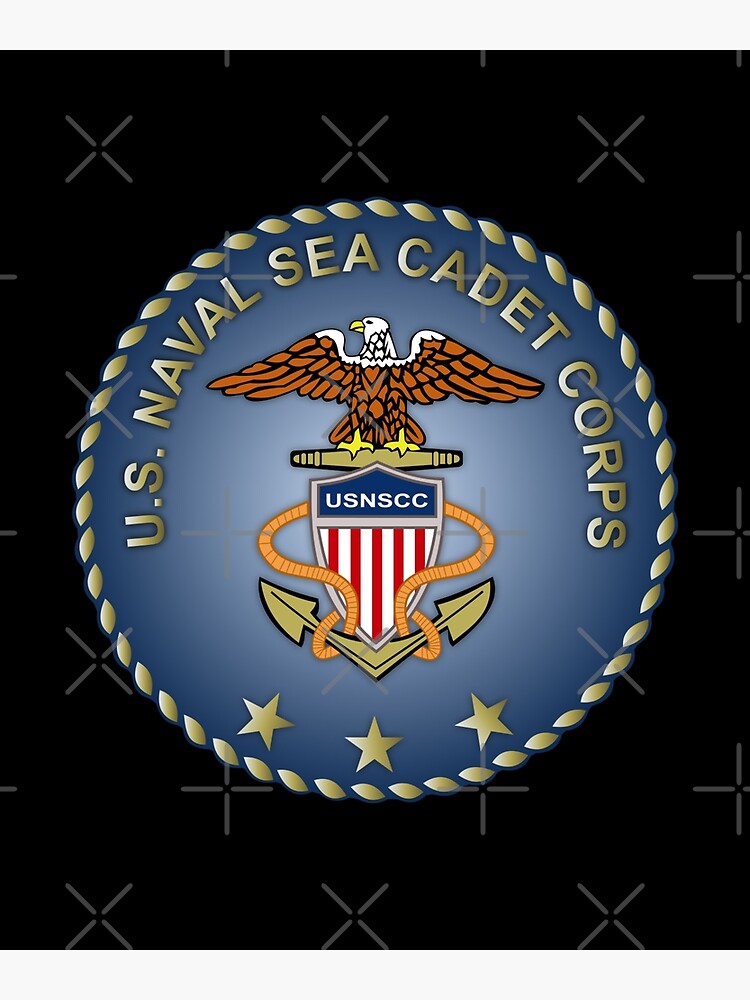 USNSCC - Gold Wings Badge