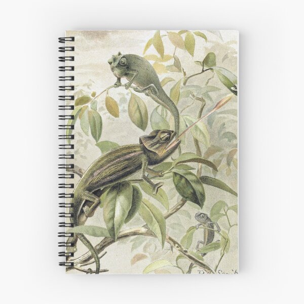 Item preview, Chameleon designed and sold by redoARTstore.