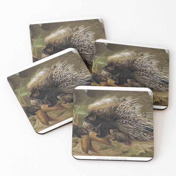 Item preview, Crested Porcupine designed and sold by redoARTstore.