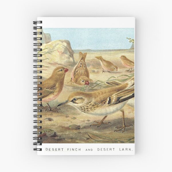 Item preview, Desert Finch and Desert Lark designed and sold by redoARTstore.